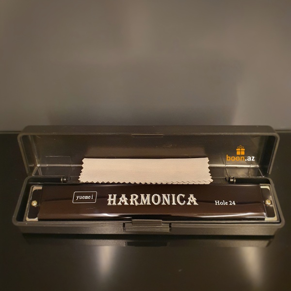 Губная гармошка "Harmonica" (17.6см) black